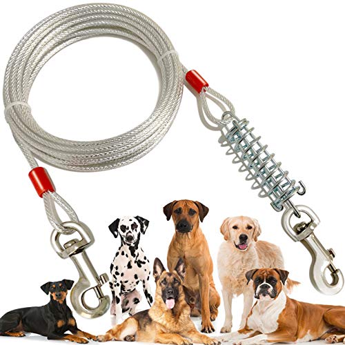 The 10 Best Dog Tie Out of 2021 Review Best Pet Pro