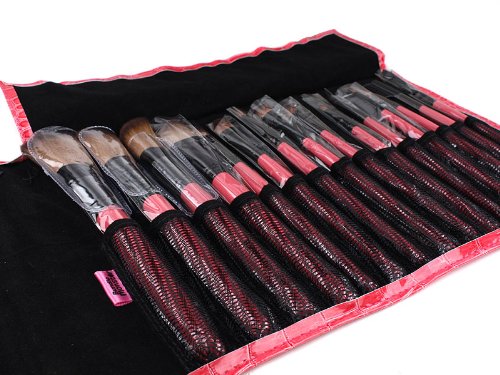 15pc Studio Pro Makeup Make Up Cosmetic Brush Set Kit w/Pink Faux Crocodile Case - For Eye Shadow, Blush, Eyeliner, Etc