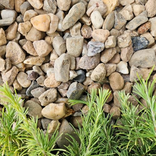 Feniks Zierkies 20 kg (16-32) - Bunt | Natürlich gerundeter Flusskies | Witterungsbeständig | Gartenkieselstein
