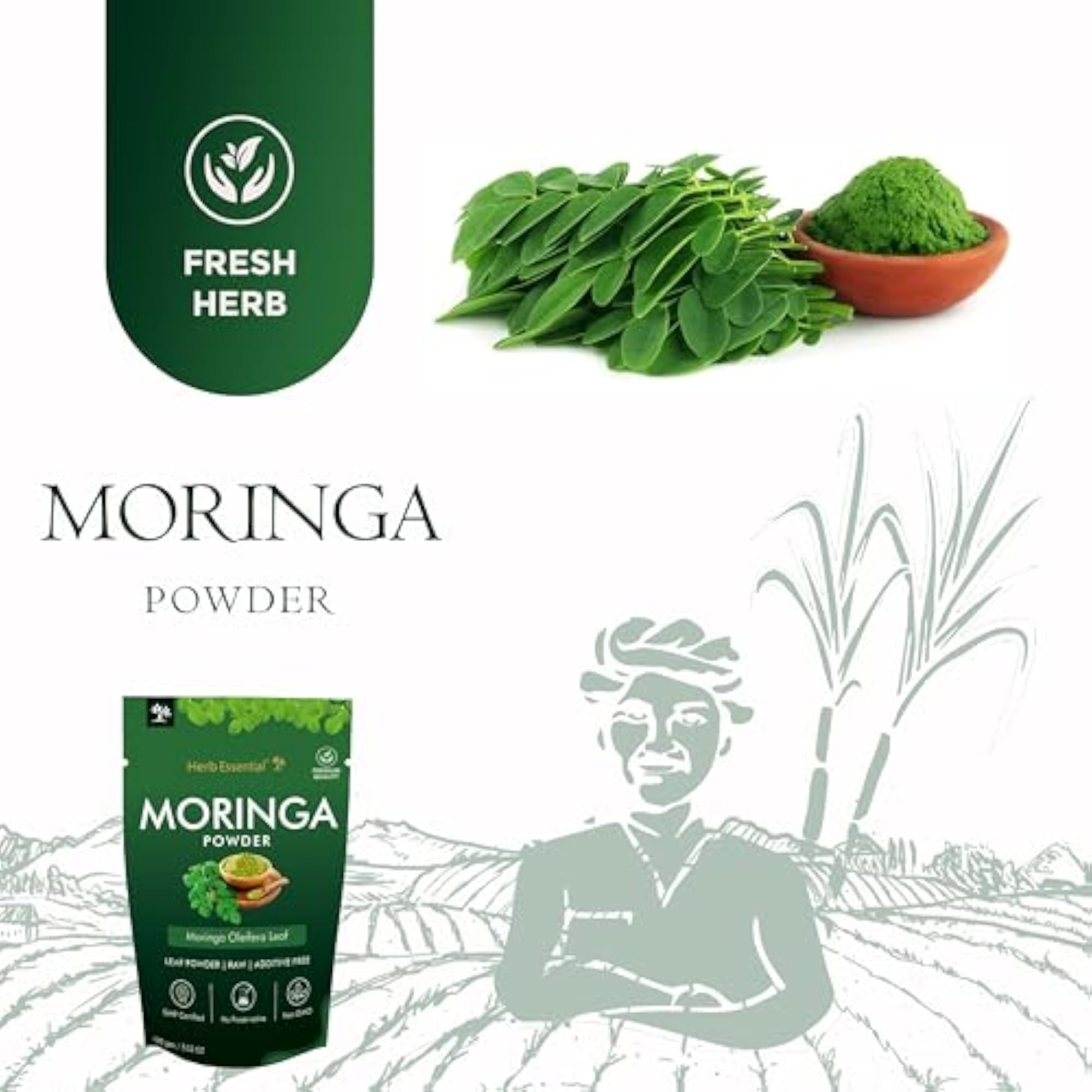 Herb Essential Moringa Leaf Powder, Healthy Superfood
