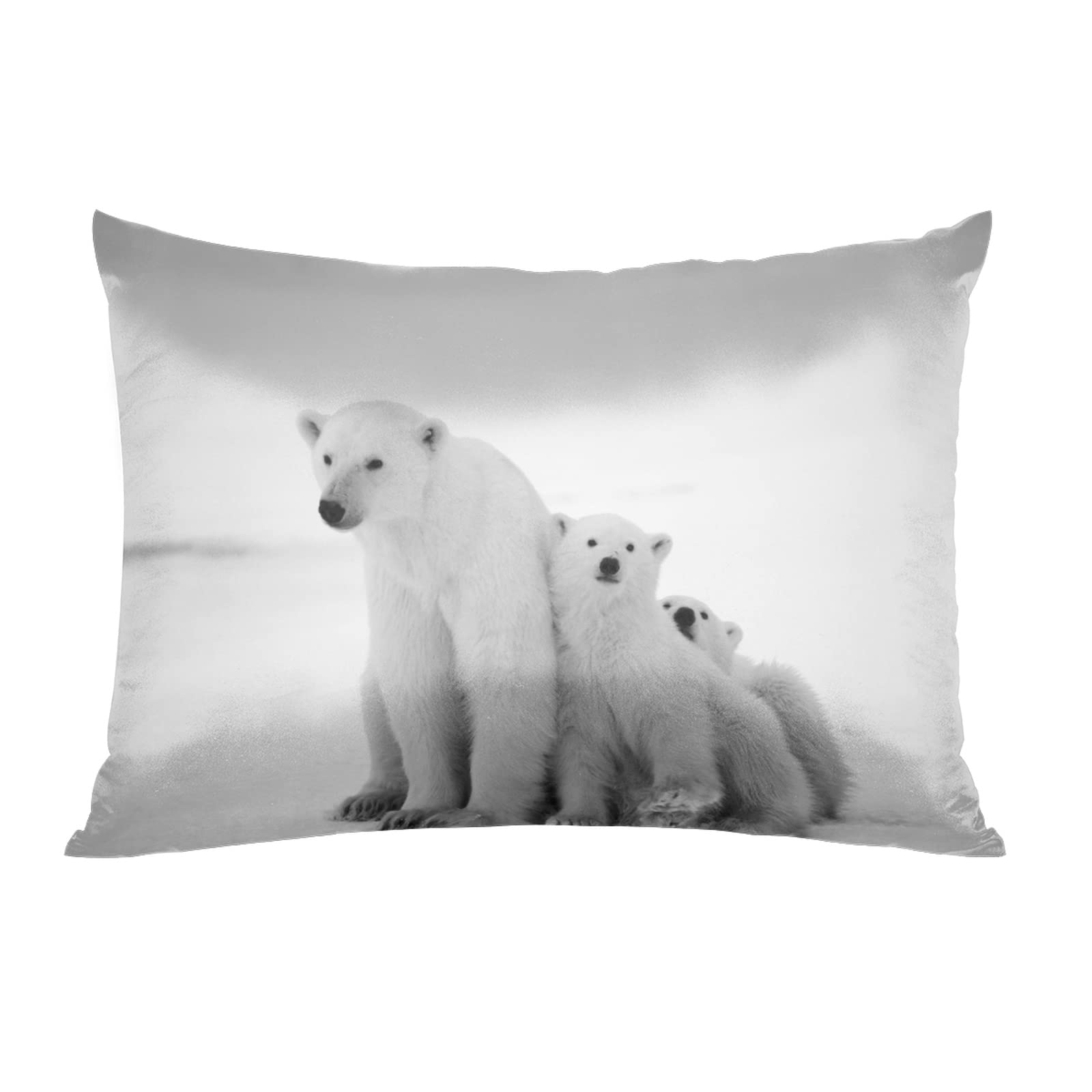 Amazon.com: Satin Pillowcase for Hair and Skin Snow Polar Bear Soft Slip  Silk Pillowcases No Zipper with Envelope Closure Cooling Satin Pillow  Covers Standard Size 20x26in Silk Pillow case : Home &