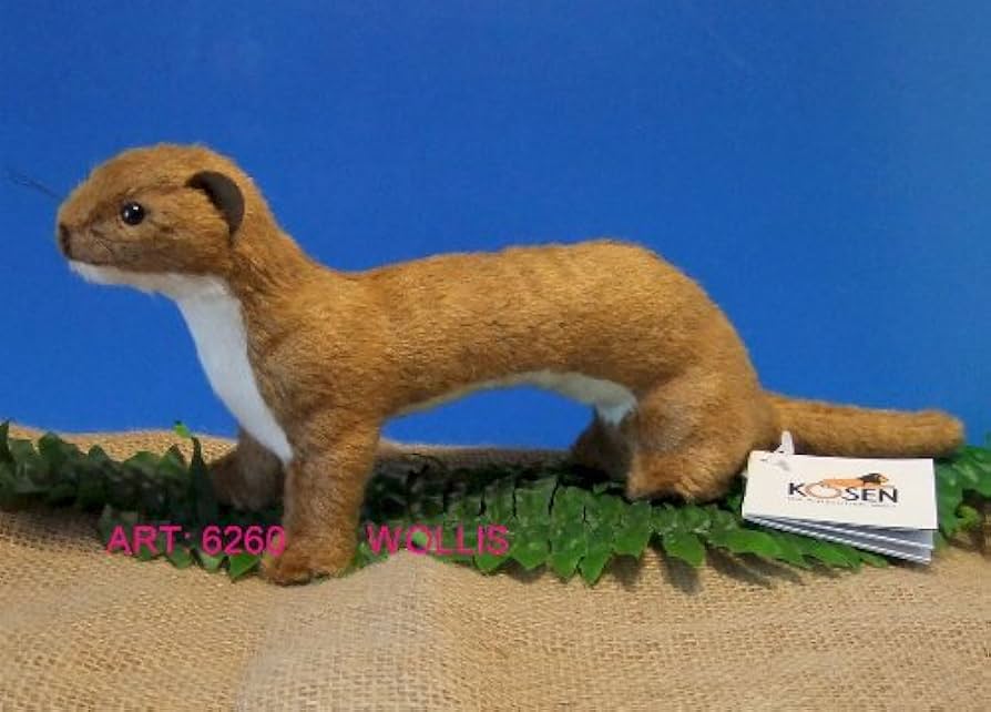 イタチ Amazon.co.jp: イタチ KOSEN(ケーセン社) 30cm Least Weasel