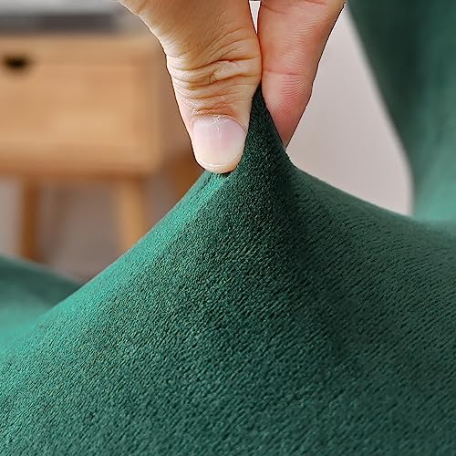 Housse de chaise lavable protège contre taches chat velours
