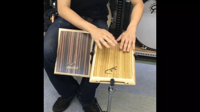 Amazon.com: GECKO Travel Cajon, Zebra Wood Percussion Instrument