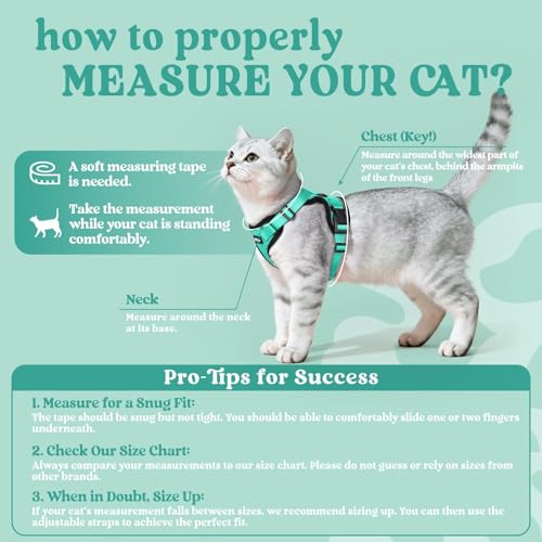 Image of rabbitgoo Cat Harness and Leash Set, Escape Proof Vest, Emerald | Soft Breathable Mesh, Easy Adjustable Fit, Snap Buckles, Sturdy Clip, Reflective Strips, for Average Cats Walks, S