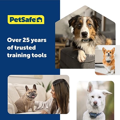 PetSafe Bellkontrolle für Außenbereiche, Vogelhäuschen mit Ultraschallton, 15 Meter Reichweite, 9V-Batterie nötig