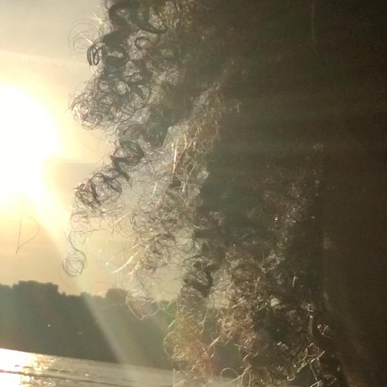 Amazon.com: Lily Java: books, biography, latest update