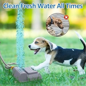 Outdoor Dog Water Fountain Step On Dog Water Sprinkler Paw Activated Dog Drinking Waterer Outdoor Dog Water Fountain Step On Dog Water Sprinkler Paw Activated Dog Drinking Waterer