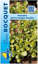 Sachet de graines de Pourpier doré à larges feuilles - 1 g - légume feuille - LES GRAINES BOCQUET