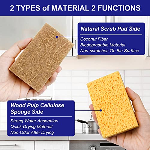 Celox 12 Pack Natural Cellulose Biodegradable Sponges, Coconut Husk Non Scratch Kitchen Cleaning Sponge, Eco-Friendly Dual-Sided Sponge For Dishwashing, 4.5" X 2.8" X 0.9" #TOP1