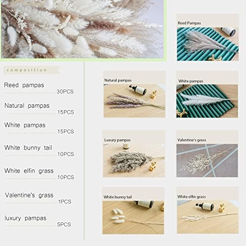 WILD AUTUMN 86PCS Natural Dried Pampas Grass Bouquet,Boho Home Decor Bouquet, Phragmites Dried Flowers,Bouquet for Wedding Floral Arrangements Home Decorations
