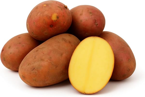 Kartoffel Laura halbmehlig vorw. festkochend (halbmehlig) rote Kartoffeln 1-25 Kg geeignet für Salz-, Pell-, Back- Folien- und Gratin-Kartoffel, optimal für selbstgemachte Pommes (10) - 1