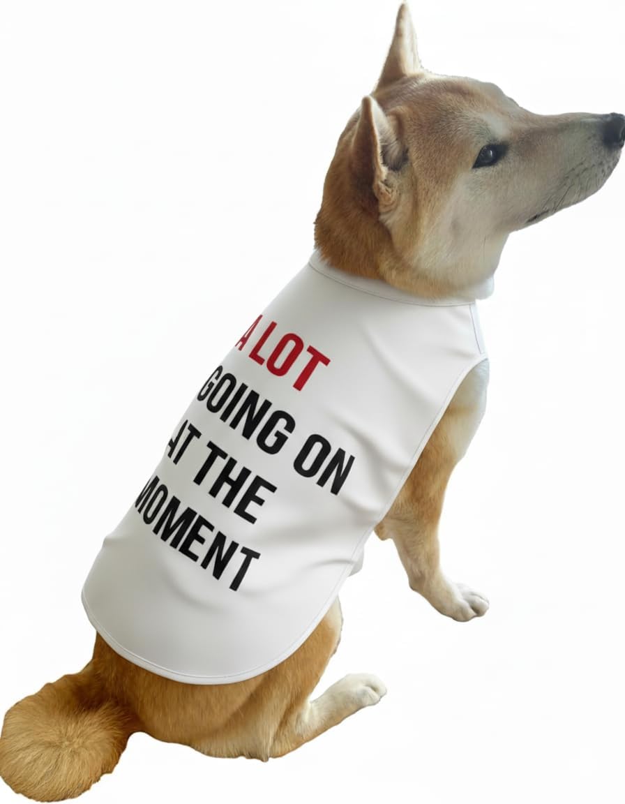 Capa para perro A Lot Going On At The Moment