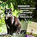 Pet Naturals Lysine for Cats, Chicken Flavor, 60 Chews - Immune and Respiratory Support for Cats - No Wheat or Corn - Vet Recommended