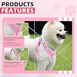 Hundegeschirr mit Hundeleine Set, Air-Mesh Atmungsaktiv Brustgeschirr für Kleine, Mittelgroße Hunde & Welpen, Weich Gepolstert Einstellbar Reflektierend Geschirr (Rosa, S)
