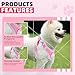 Hundegeschirr mit Hundeleine Set, Air-Mesh Atmungsaktiv Brustgeschirr für Kleine, Mittelgroße Hunde & Welpen, Weich Gepolstert Einstellbar Reflektierend Geschirr (Rosa, S)