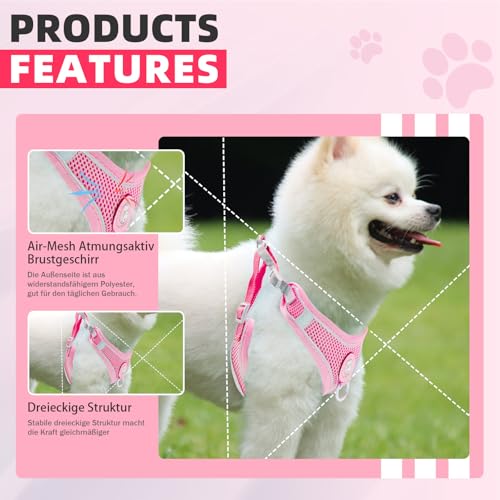 Hundegeschirr mit Hundeleine Set, Air-Mesh Atmungsaktiv Brustgeschirr für Kleine, Mittelgroße Hunde & Welpen, Weich Gepolstert Einstellbar Reflektierend Geschirr (Rosa, S)