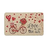 Artoid Mode Love is in The Air Bicycle Roses Heart Balloon Decorative Doormat, Holiday Valentine's...