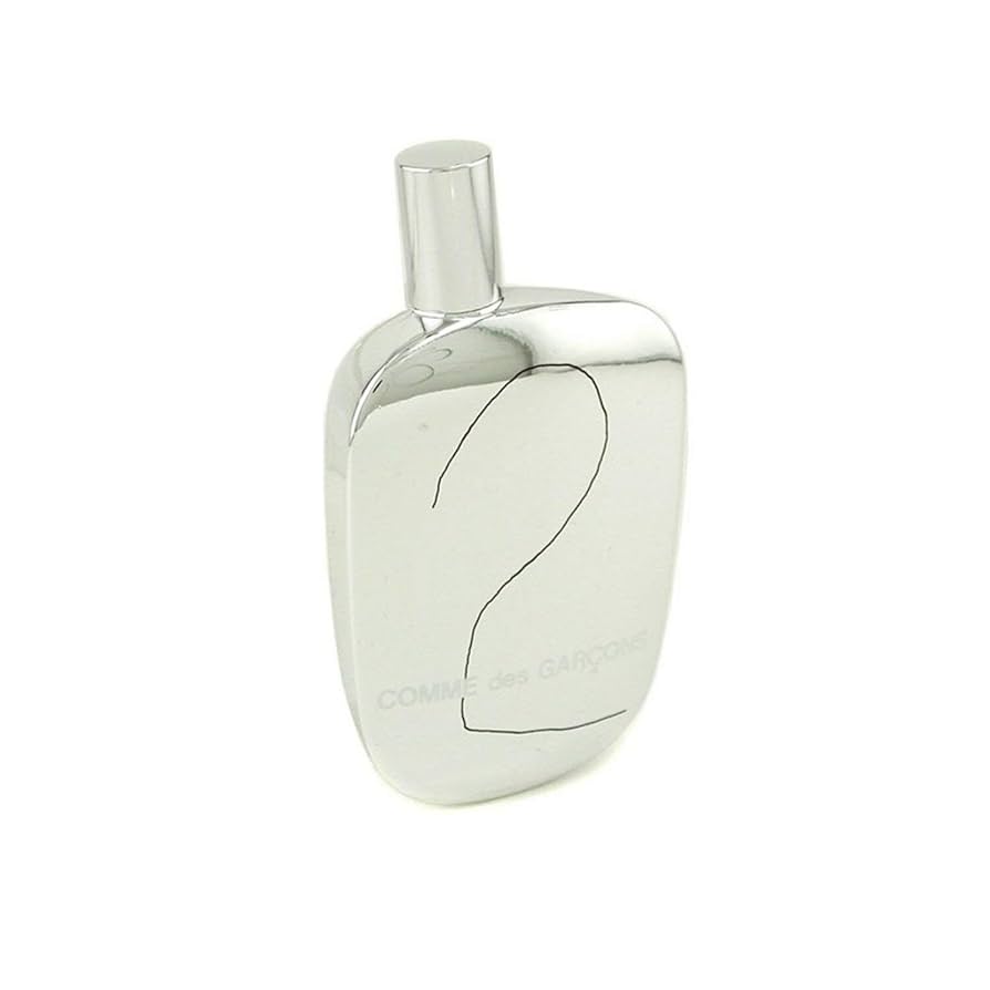 Comme des Garcons Eau de Parfum 100ML, Comme Des Garcons 2
