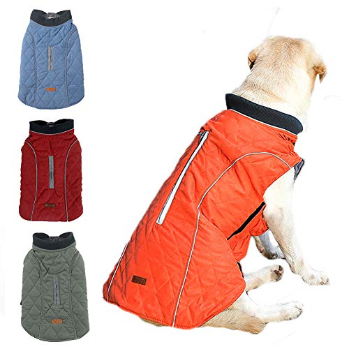 Best Coats for French Bulldogs Sir Doggie