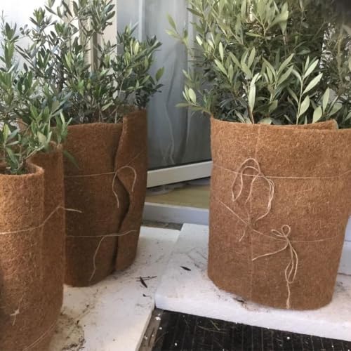 Evita plantas congeladas con el rollo de mantillo de coco natural para jardín 8