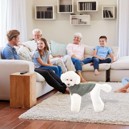 Image of BINGPET Dog Sweater for Small Dogs, Turtleneck Knitted Clothes