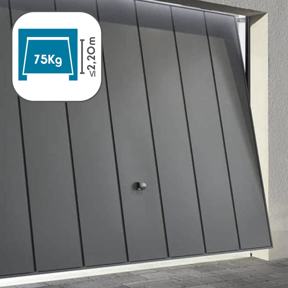 Avidsen Motorisation Porte de Garage Strömma 600 avec Rail en U et Chaîne, Moteur Porte de Garage 75kg Connectable Smartphone pour Porte Sectionnelle (2,10m) et Basculante (2,20m）