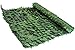 Siepe Evergreen Edera mt.: 1x3