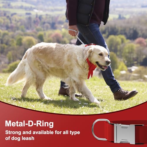 Asvin Samt-Hundehalsband – Verstellbare Hundefliege, Metall-Schnellverschluss – Für alle Hundegrößen extra robust