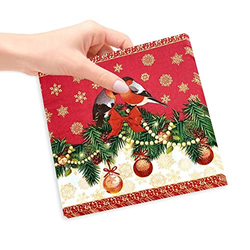 Christmas Paper Napkins Fobeone Christmas Robin Bird Disposable Paper Dinner Napkins Luncheon Napkins For Merry Christmas 2022 Party Supplies Decorations（2-Ply, 6.5X6.5 In, 40 Count) #TOP2