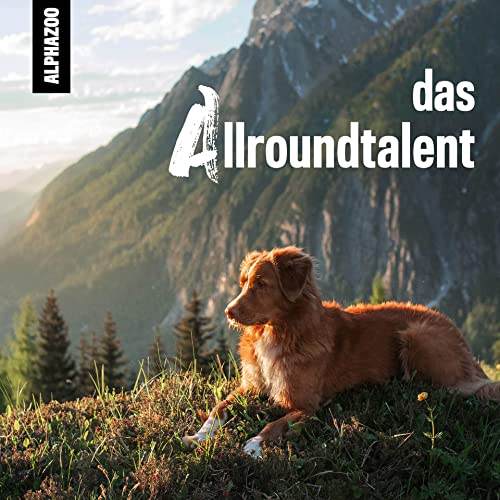 Alphazoo Premium Lachsöl für Hunde 250ml – Natürliche Ergänzung