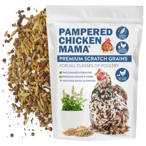 Pampered Chicken Mama Premium Scratch Feed Treat - High Protein & High Calcium All-Natural Backyard Chicken Grower Feed Supplies for Laying Chickens (10 pounds)