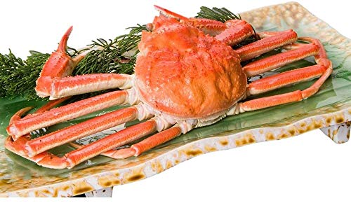 {YCKjipj640gO YCKj\ Jj ⓀI YCKj VAY kCH {C Ⓚ  Jj I JjX  CN yY kC