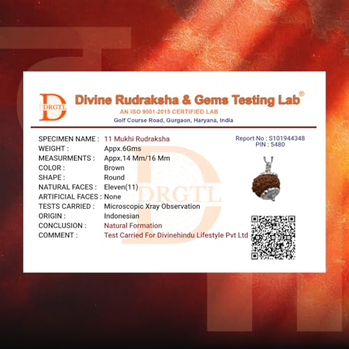 Image of Divine Hindu Original 11 Mukhi (Eleven Face) Indonesia Rudraksha | Ekadash Mukhi Rudraksh Bead for Meditation & Spiritual Growth | Natural Rudraksha for Men & Women | Prayer Bead for Success, Peace