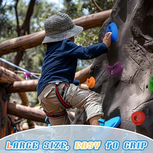 image for SREHRLY 20 PCS Rock Climbing Wall for Kids,Rock Wall Climbing Holds,Ad