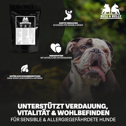 BULL & BULLY – Big Bully Horsepower 250g Hundefutter Trocken Getreidefrei – Hundefutter & Hundeleckerli Pferd Pur – Pet Hunde Leckerlis Pferd & Hundesnack für empfindliche Hunde & Senioren