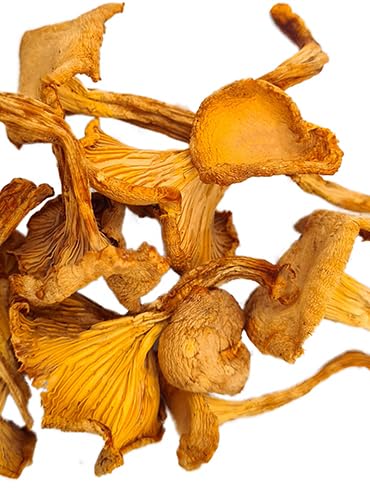 Forest Food Shop Pfifferlinge Getrocknet 50g – Handverlesen aus Wildwäldern, Luftgetrocknete Pilze, Bezogen von einem kleinen Familienunternehmen, Ideal zum Kochen und für Gourmet-Rezepte.