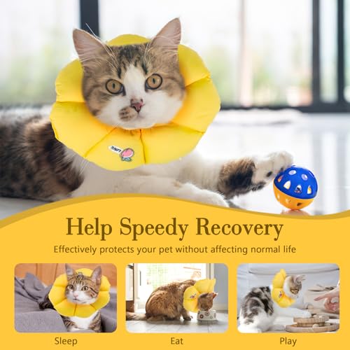 Halskrause Katze, Einstellbar wasserdichte Katzenkragen, Weich Sonnenblume Leckschutz Katze, Halskragen Katzen für Klein Hund Nach Operation Schutzkragen (Gelb, M)