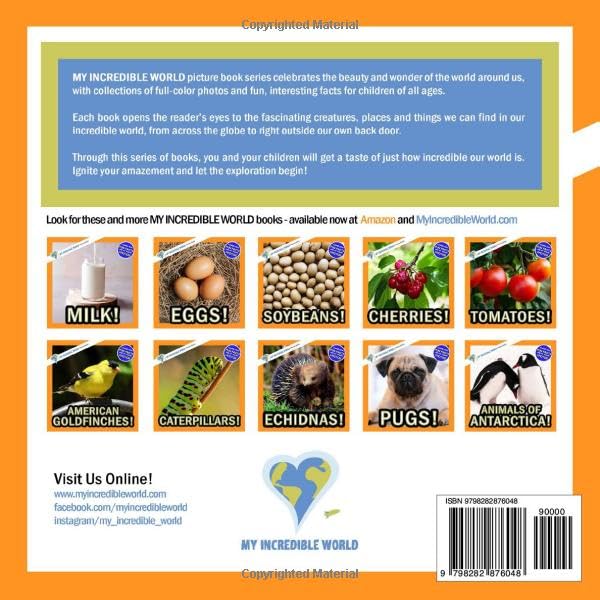 Animals of Colorado!: A My Incredible World Picture Book for Children (My Incredible World: Nature and Animal Picture Books for Children) - Image 2