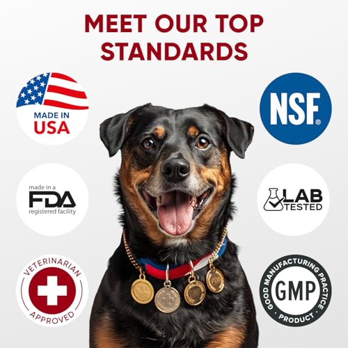 Image of Probiotics for Dogs Digestive Health - Probiotic Chews for Gut Health, Itchy Skin Yeast, Diarrhea - USA Product - Immune Support Supplement - Dog Digestive Support & Allergy Relief Chews with Enzymes