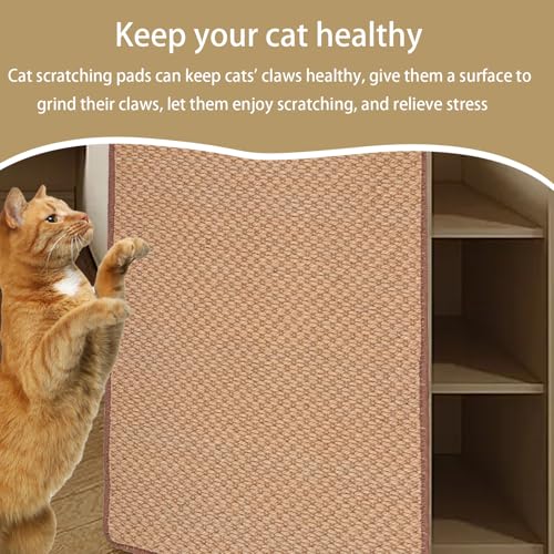 Tapis griffoir pour chat robuste contre les griffures de meubles