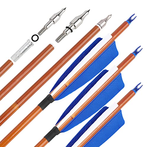 Surwolf 31Inch Carbon Arrow Practice Target Arrows With 4" Natural Feather Spine 500 Hunting Arrows With Replaceable Arrowhead For Compound And Recurve Bows, 12/6 Pcs (Blue, 6Pcs) #TOP1