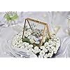Amazon.com - NCYP 2 Side Standing Copper Brass Copper Glass Rectangular ...