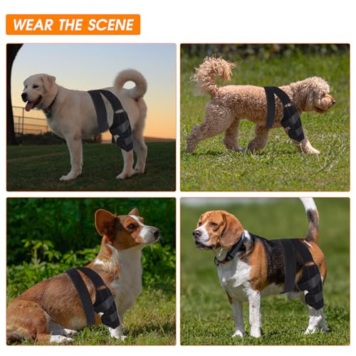 Image of Dog Knee Brace,Adjustable Dogs Rear Leg Braces for ACL with Cruciate Ligament Injury,Reduces Joint Pain and Muscle Sore Inflammation. (S)