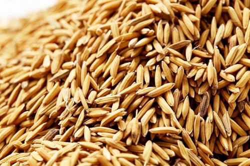 25 kg Hafer futterhafer für Pferde, Wildvögel, Hühner und Tauben – Natürliches Getreide, ideal als Futter und zur Vogelfütterung