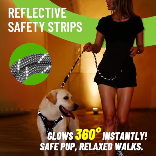 Save 57% on Heavy Duty Rope Dog Leash with Padded Handle