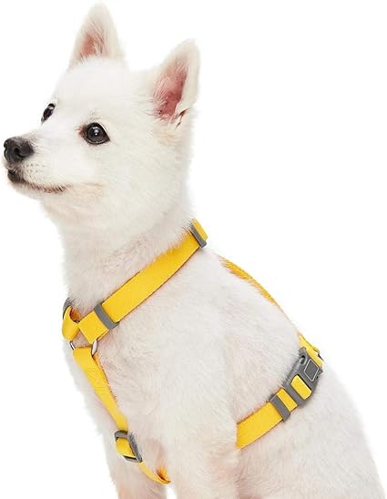 pet harness amazon