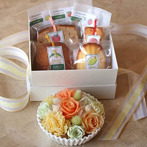 wpXet[pCEXC[c2iMtg`IWCG[xa̎RYt[c̏Ăَqƃt[ceBƃvU[uht[̃pCMAWyԂƃXC[cMtgzzCgf[E̓