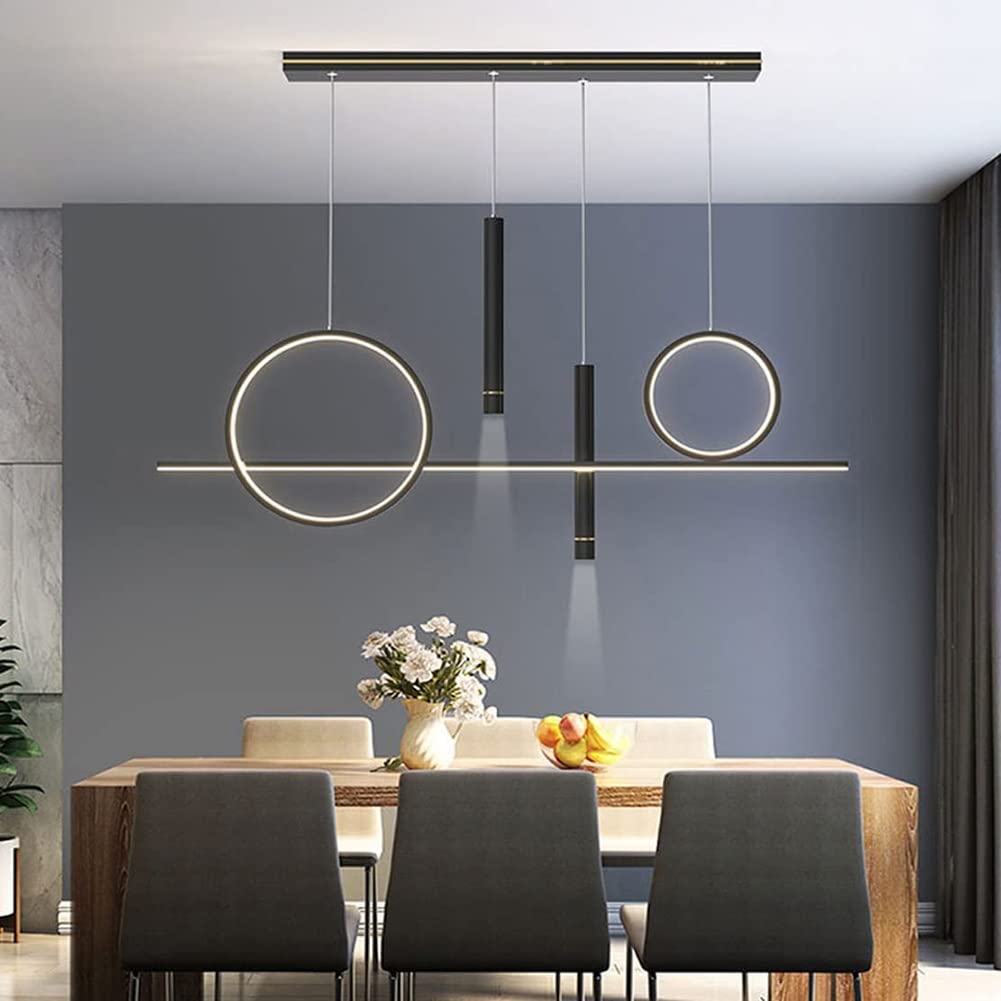 Lampe en acrylique suspendue premium à double anneau LED et projecteur noir