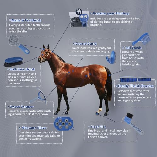 Harrison Howard Kit de cuidados com cavalos, 9 peças, série de cuidados com equinos, conjunto de esc